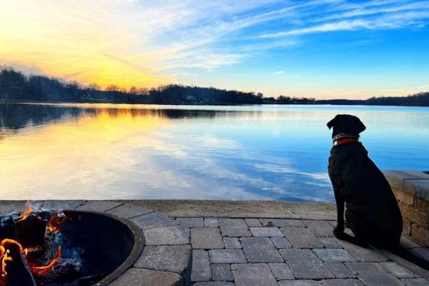 Dog Lake | Noble County Dog-friendly