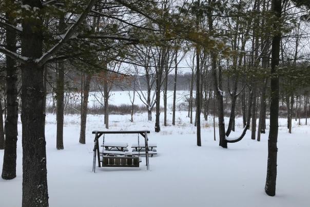 Noble County snow covered porch swing
