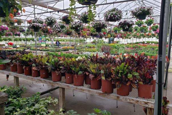 DB Nursery