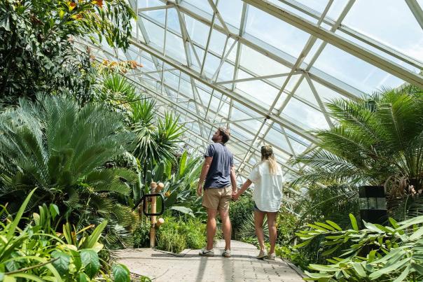 Foellinger-Freimann Botanical Conservatory