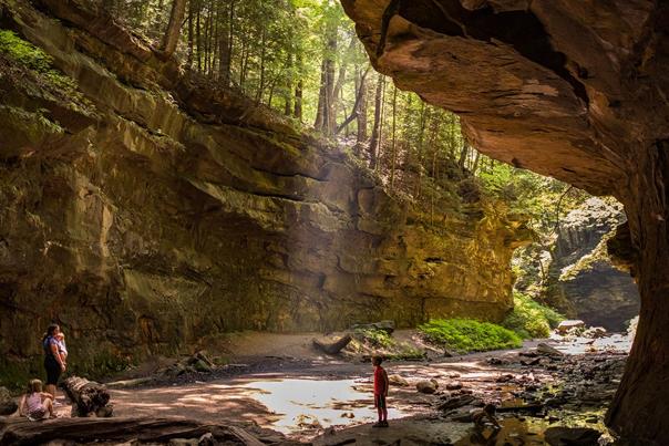 Turkey Run State Park