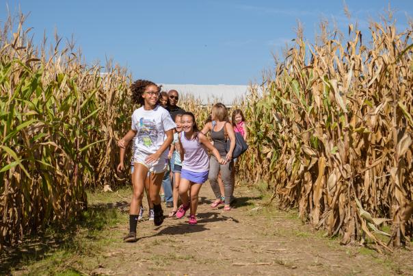 Family running through a corn maze at Kelsay Farms.