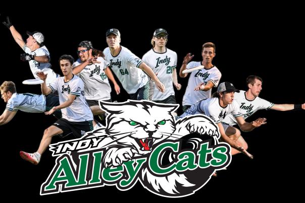 Indianapolis Alley Cats Ultimate Frisbee team logo
