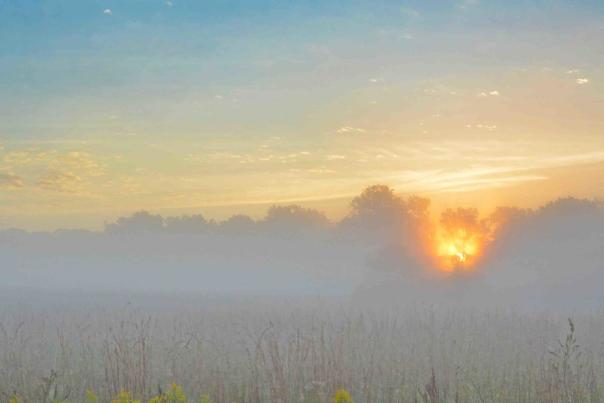 Spring in Lafayette, Indiana