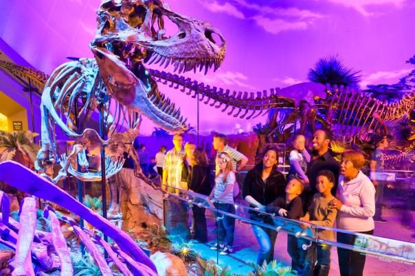 Children's Museum of Indianapolis