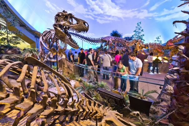 childrens museum