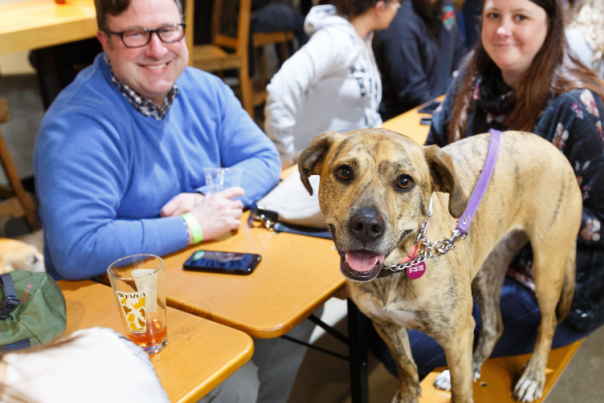 Pet-Friendly Eateries in Indianapolis
