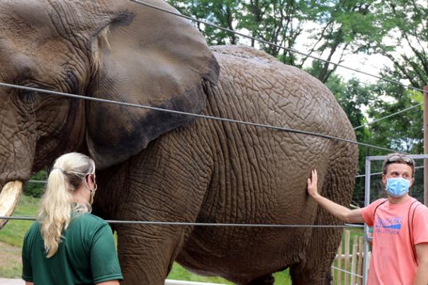 Get Up Close and Personal with a New Elephant Experience at the Indianapolis Zoo