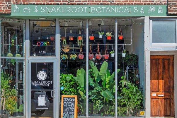 Snakeroot Botanicals