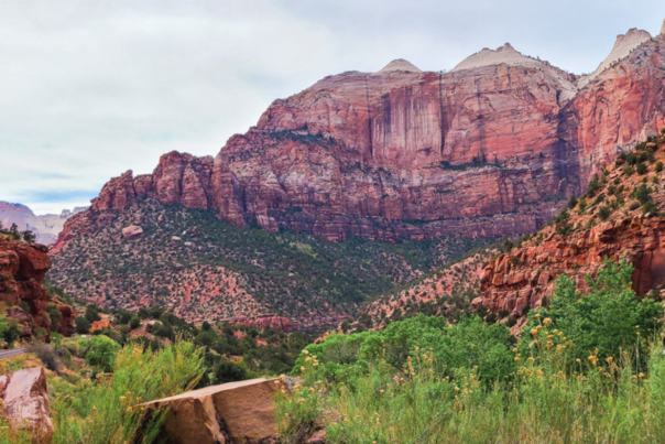 Zion National Park