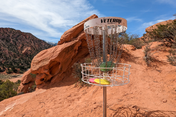 Disc Golf