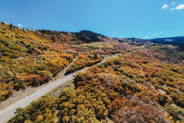 Fall Colors - Drone