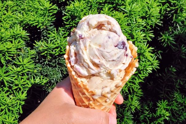 hand holding an ice cream scoop in a waffle cone in front of a green bush