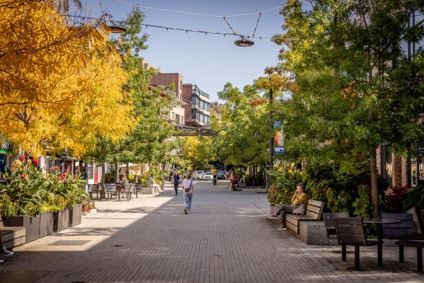 Downtown Commons DC Landing Page