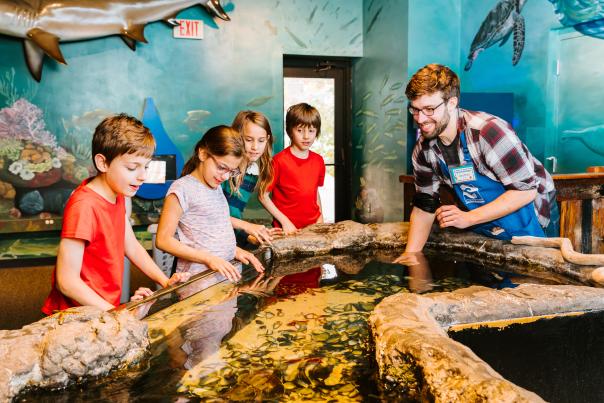 kids at indoor sea touchtank