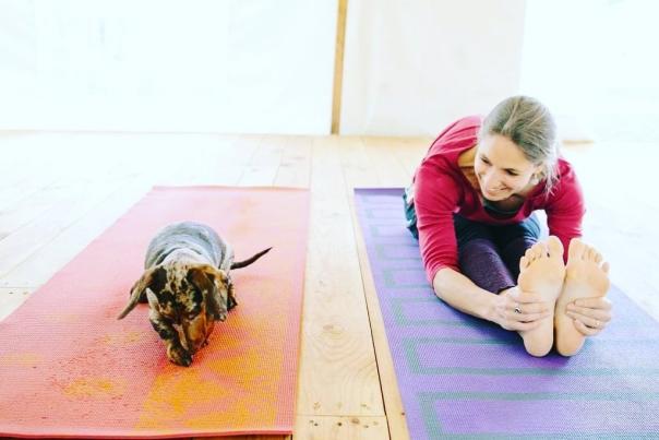 Women and dog stretching on yoga mats