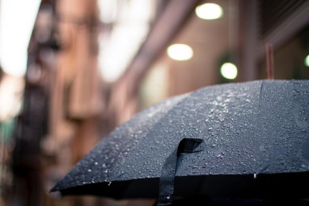 Rainy Day Umbrella