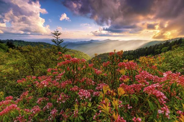 Parkway - Luke Sutton