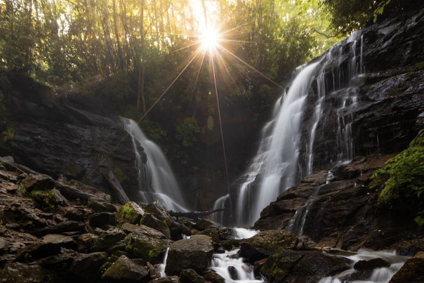 Screen Shot 2021-07-23 at 3.46.57 PM