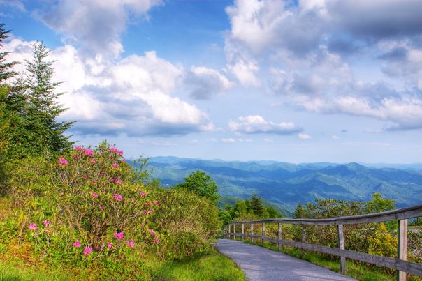 waterrock-knob_nick-breedlove-the-sylva-herald