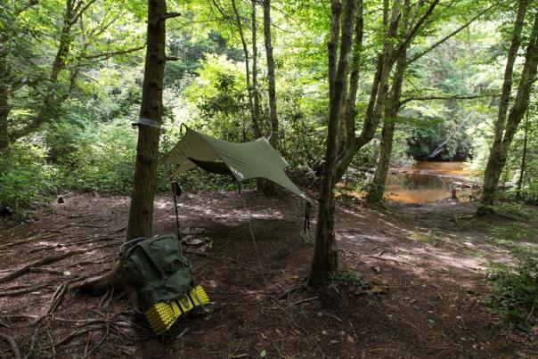 a3enah82cjtkfqiqt0ck