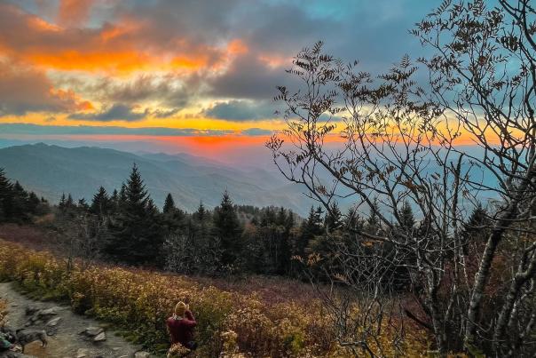 anxiousmissadventures-Instagram-1563-ig-18278085754190240