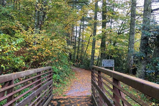 fall-blog-post-image-3