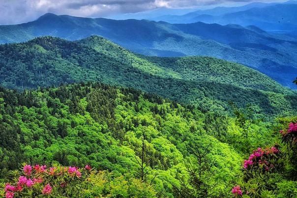 johnnychillroom-Instagram-1563-ig-17869786175492440 (2)