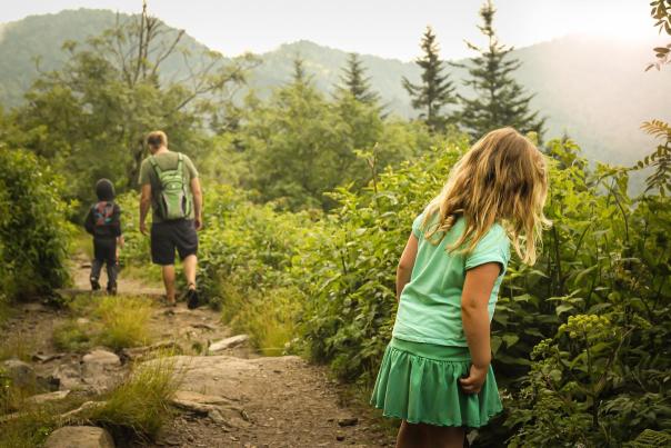 looserootz-instagram-1563-ig-17844260771354653