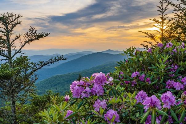 spencervisual-Instagram-1563-ig-17987114167511547 (1)