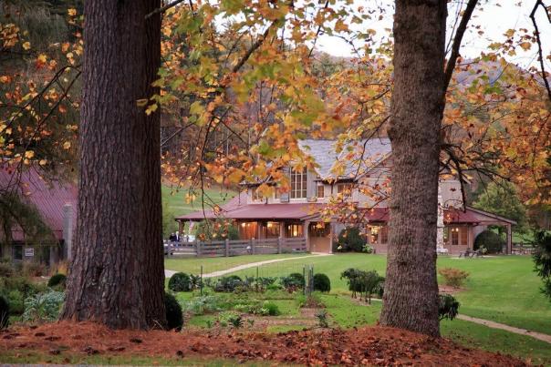 suvitravelsandimports-Instagram-1563-ig-17884578122427440