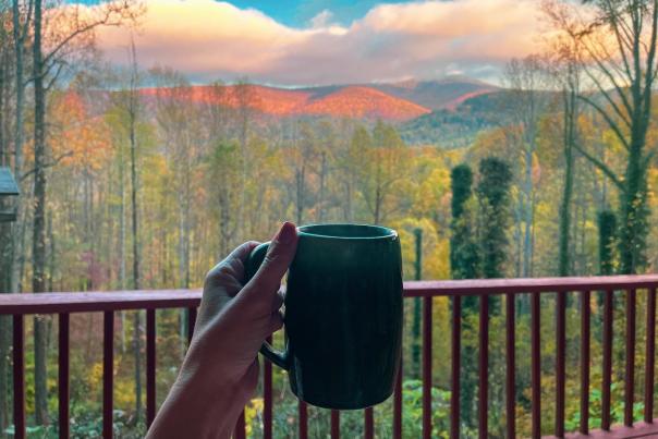 theswankyswanlkld-Instagram-1563-ig-17885887442440934