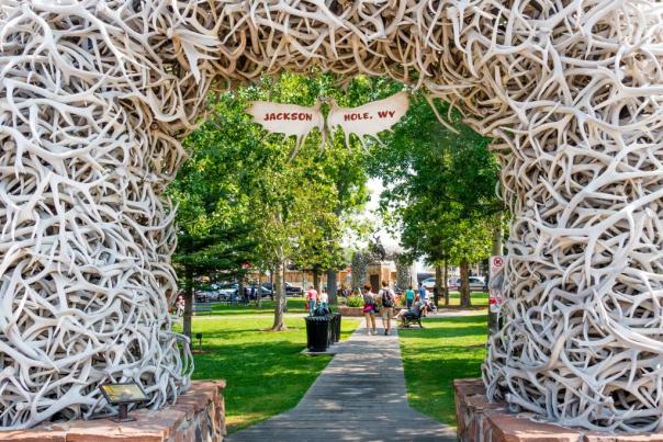 antler arch