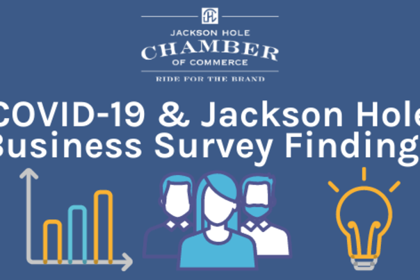 COVID survey findings