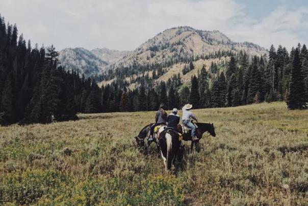 Horseback Riding