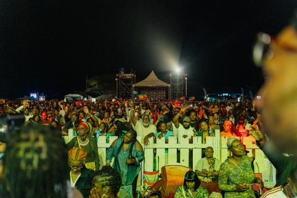 Rebel Salute Audience