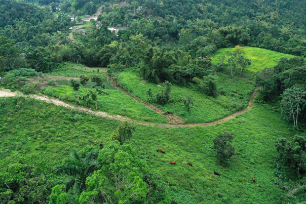 Rural country roads aerial - Community Tourism