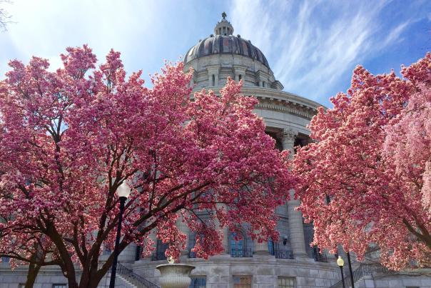 Capitol with Spring Flowers