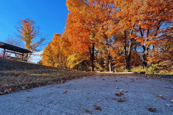 riverside park - fall