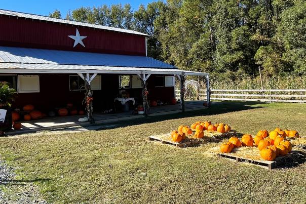 Ashlan Meadows Barn with Pumpkins in Fall
