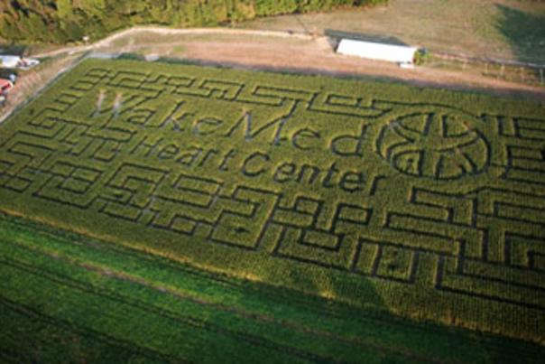 WakeMed Corn Maze, a recent maze at Boyette Family Farms in Clayton, NC.