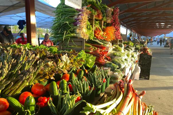 An array of vegetables sit on a table as the sun sets during a farmers market in Kalamazoo County.