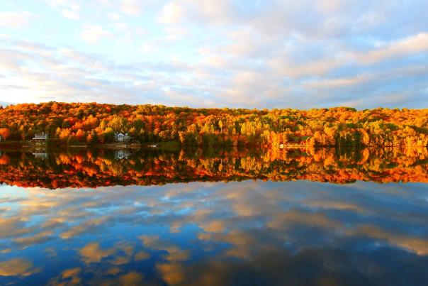 Trees in autumn colors reflected in the water of a lake