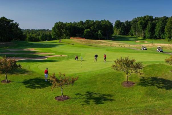 people playing at a golf course