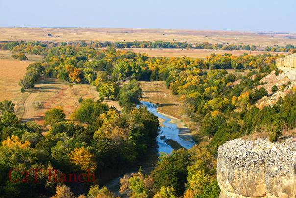 C2T Ranch - Good Day Kansas