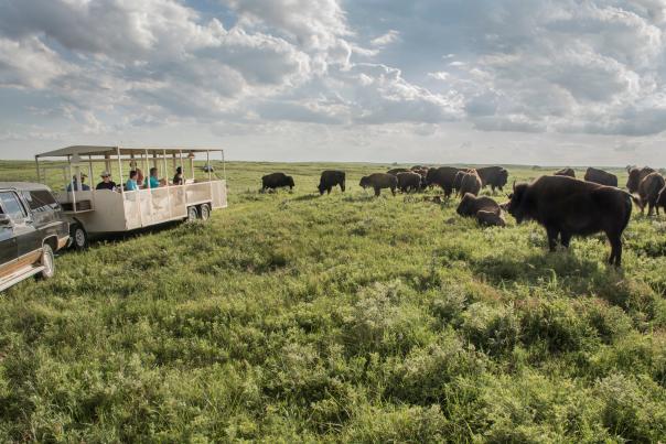 Maxwell Wildlife Refuge