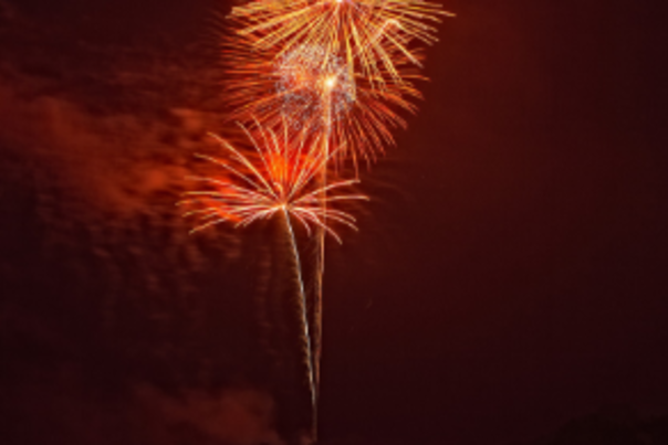 State Parks Fireworks