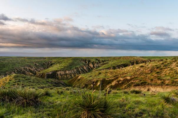 Rolling green hills at the Airkaree Breaks