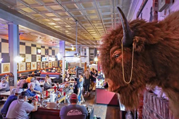 Bison Head at Big Ed's Steakhouse in Bird City