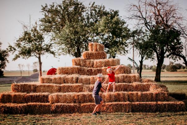 Kids playing on hay tower at cedar creek pumpkin patch